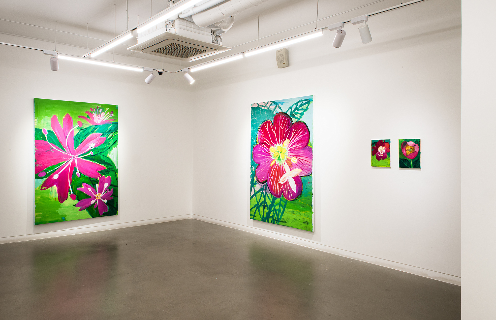 Huh Yunhee 허윤희, Installation View