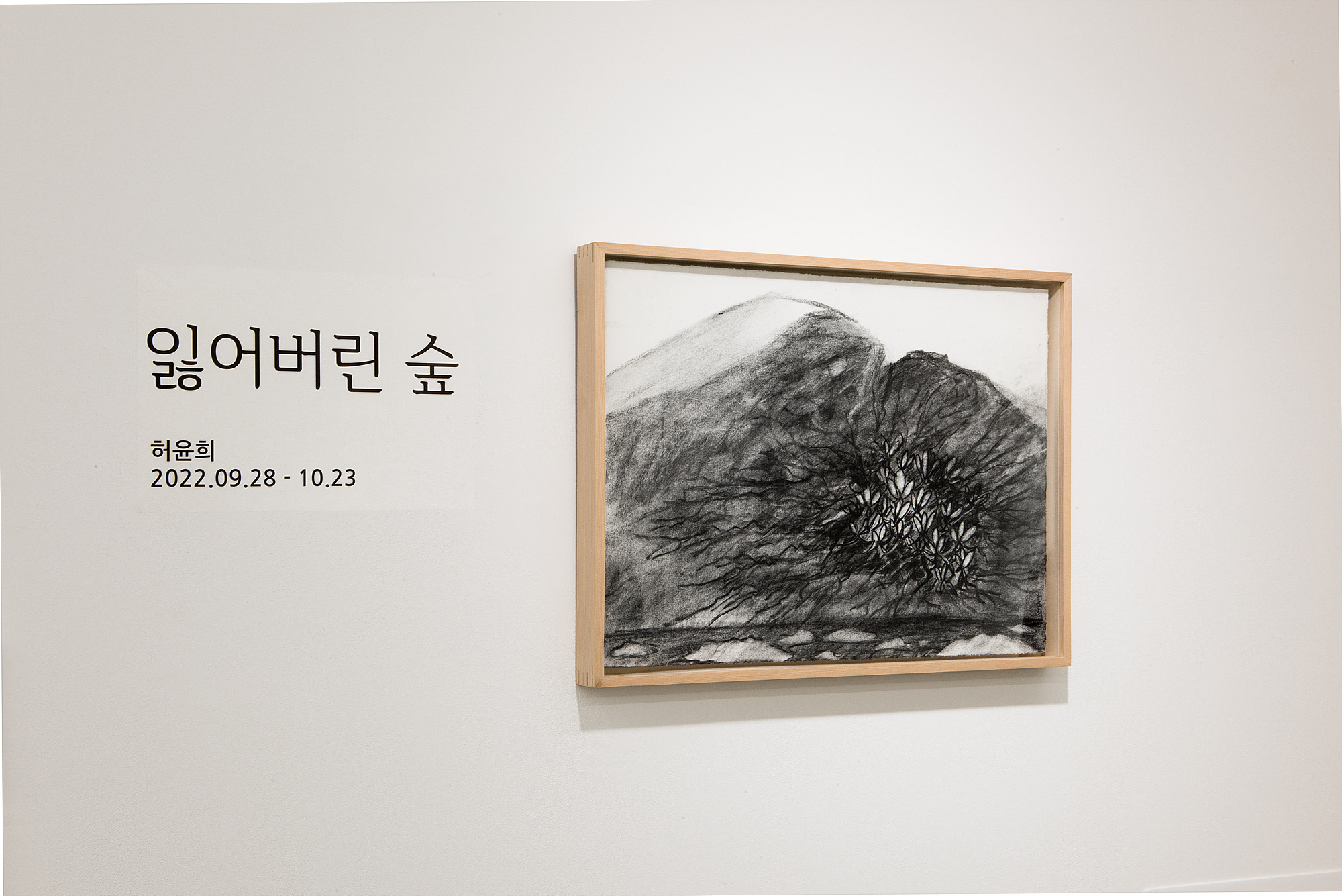 Huh Yunhee 허윤희, Installation View