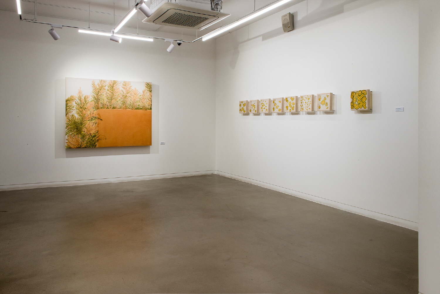 Jeon Hoyeon, Installation View