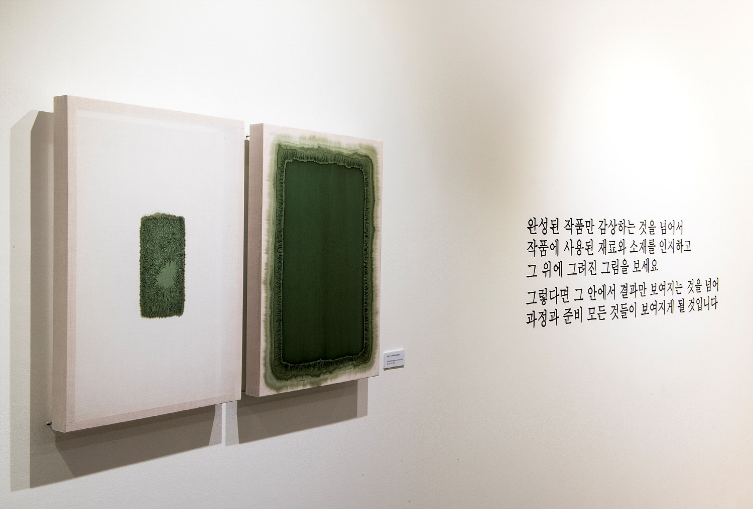 Jeon Hoyeon, Installation View