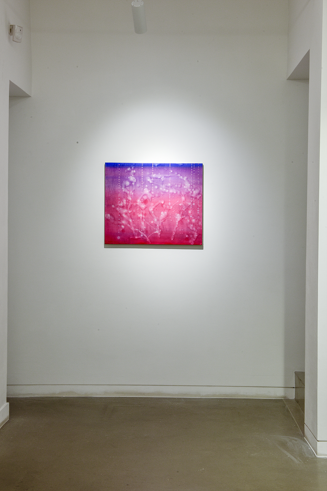 Jang Yeji  , Installation View