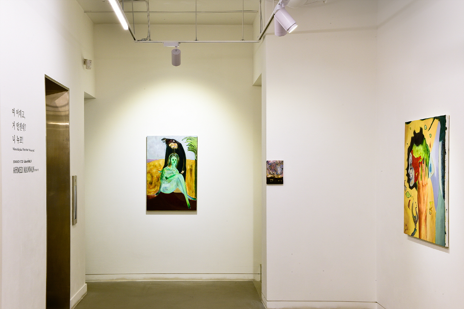 Ahmed Mannan, Installation View