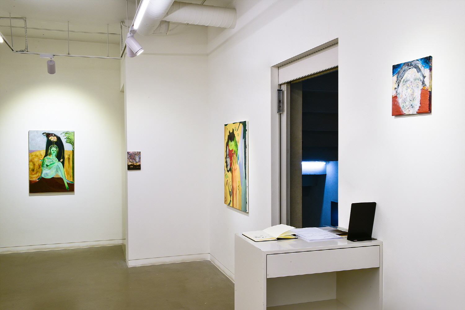 Ahmed Mannan, Installation View