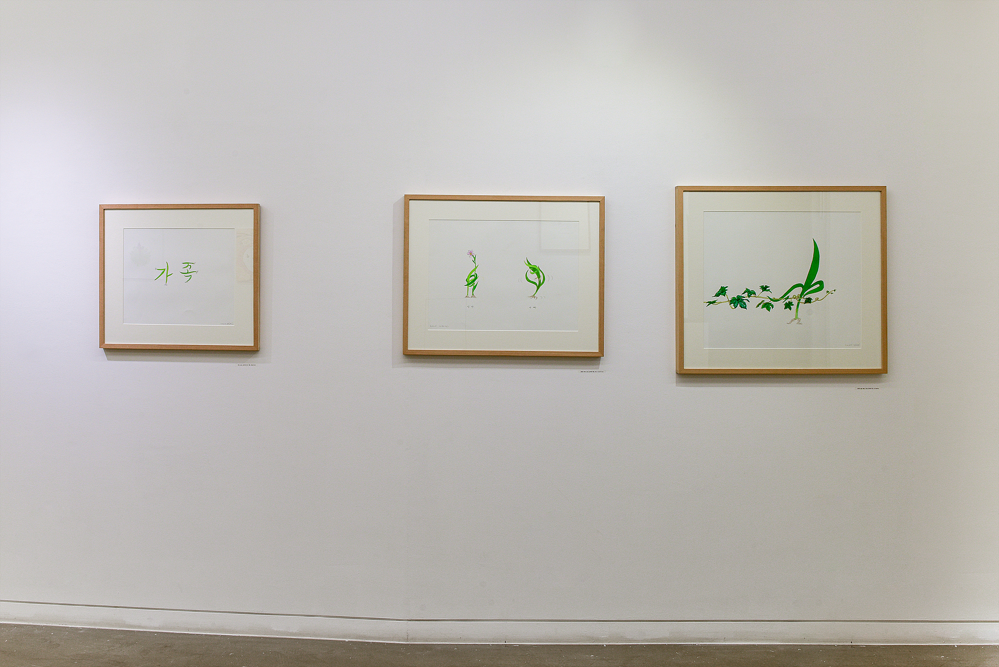 Kim Jeimin, Installation View