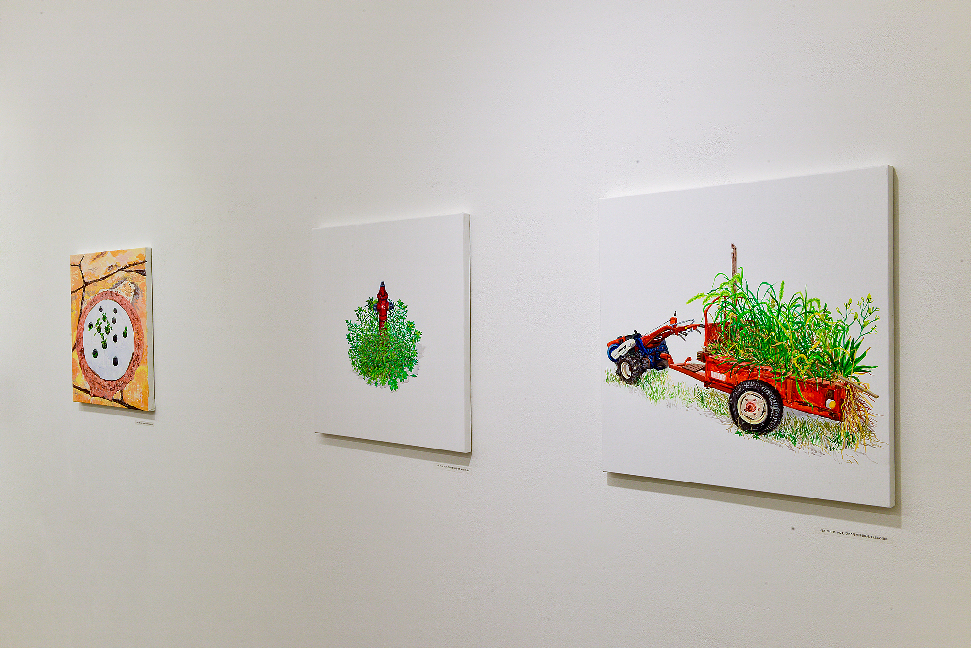 Kim Jeimin, Installation View