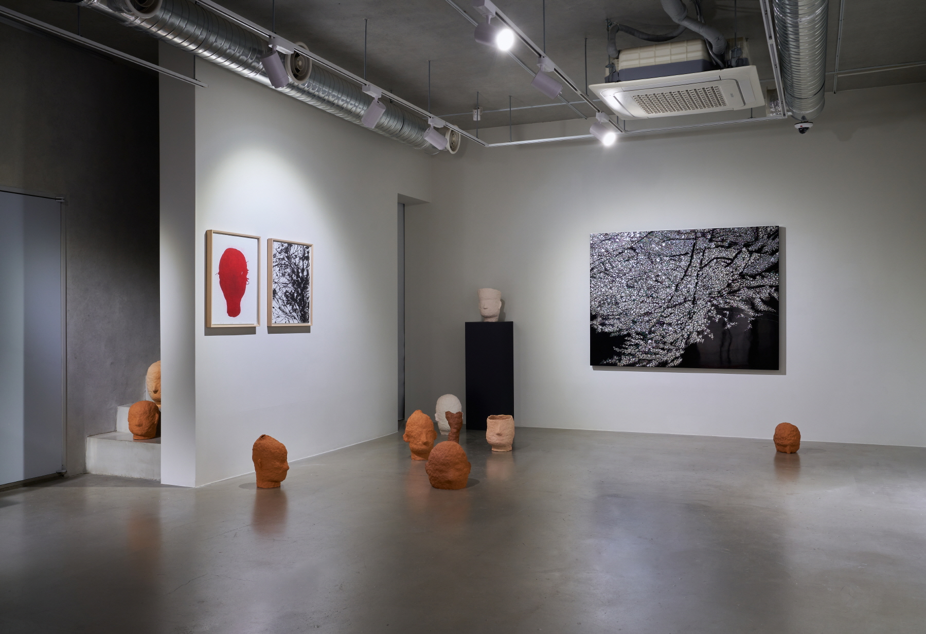 Jeong Zik Seong, Installation View