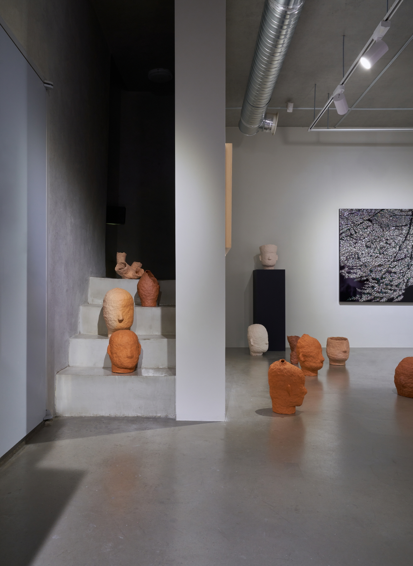 Jeong Zik Seong, Installation View