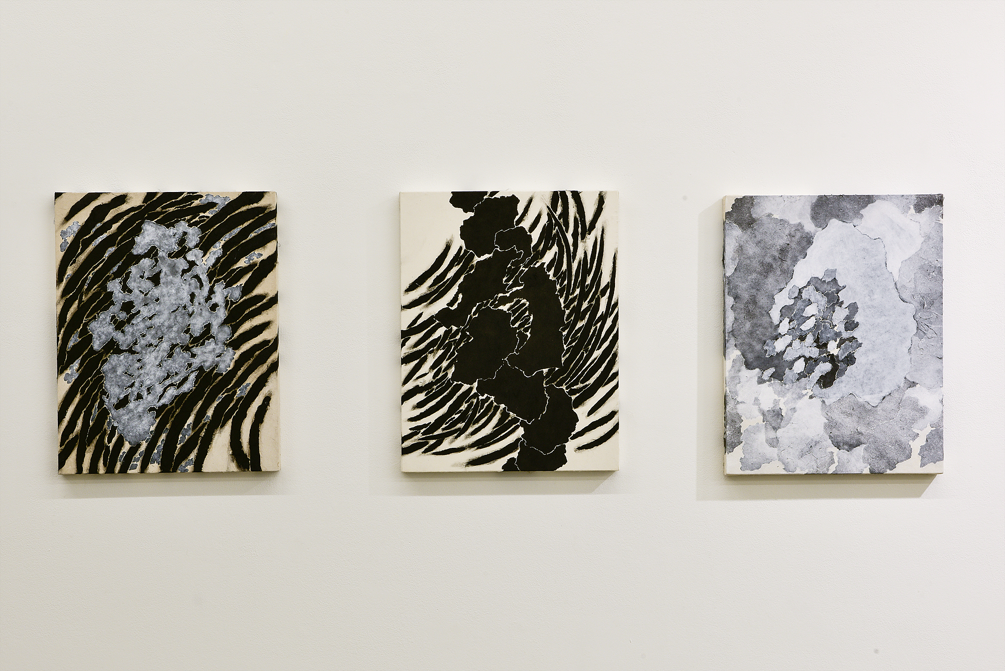 Park Jiyoung, Installation View