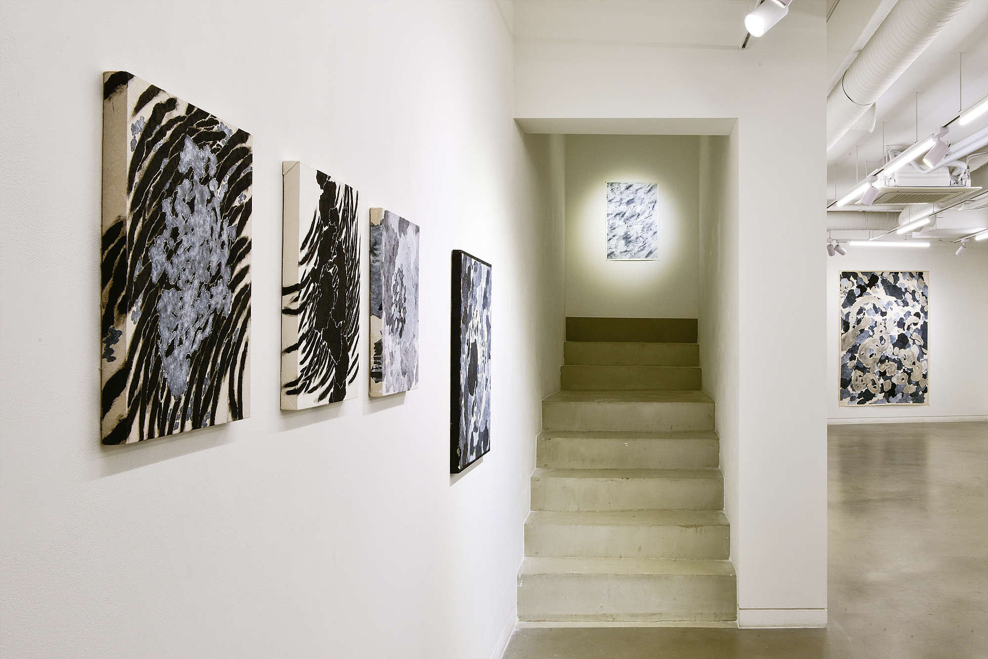 Park Jiyoung, Installation View