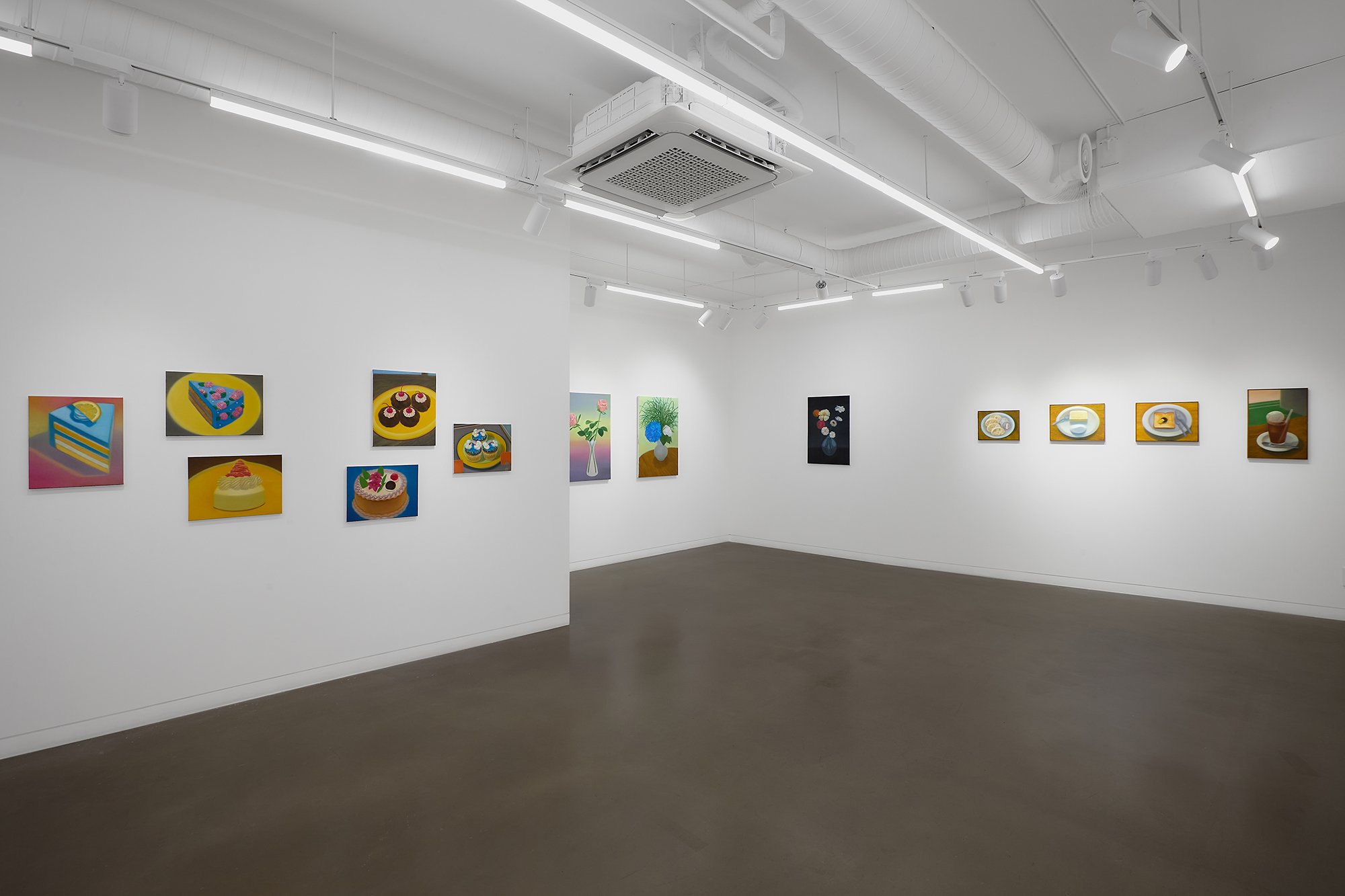 Navin, Installation View