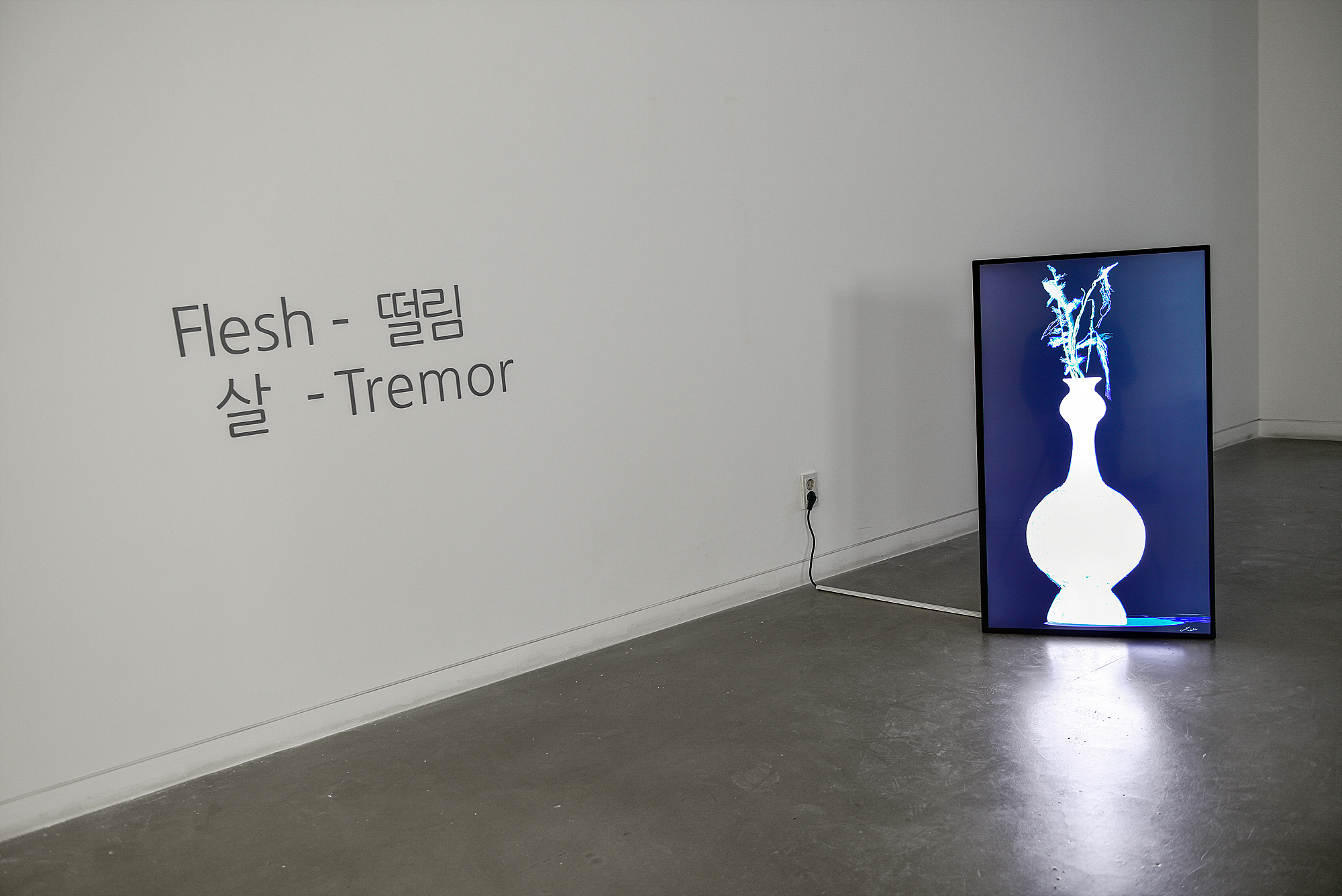 Lee Seunghoon, Installation View