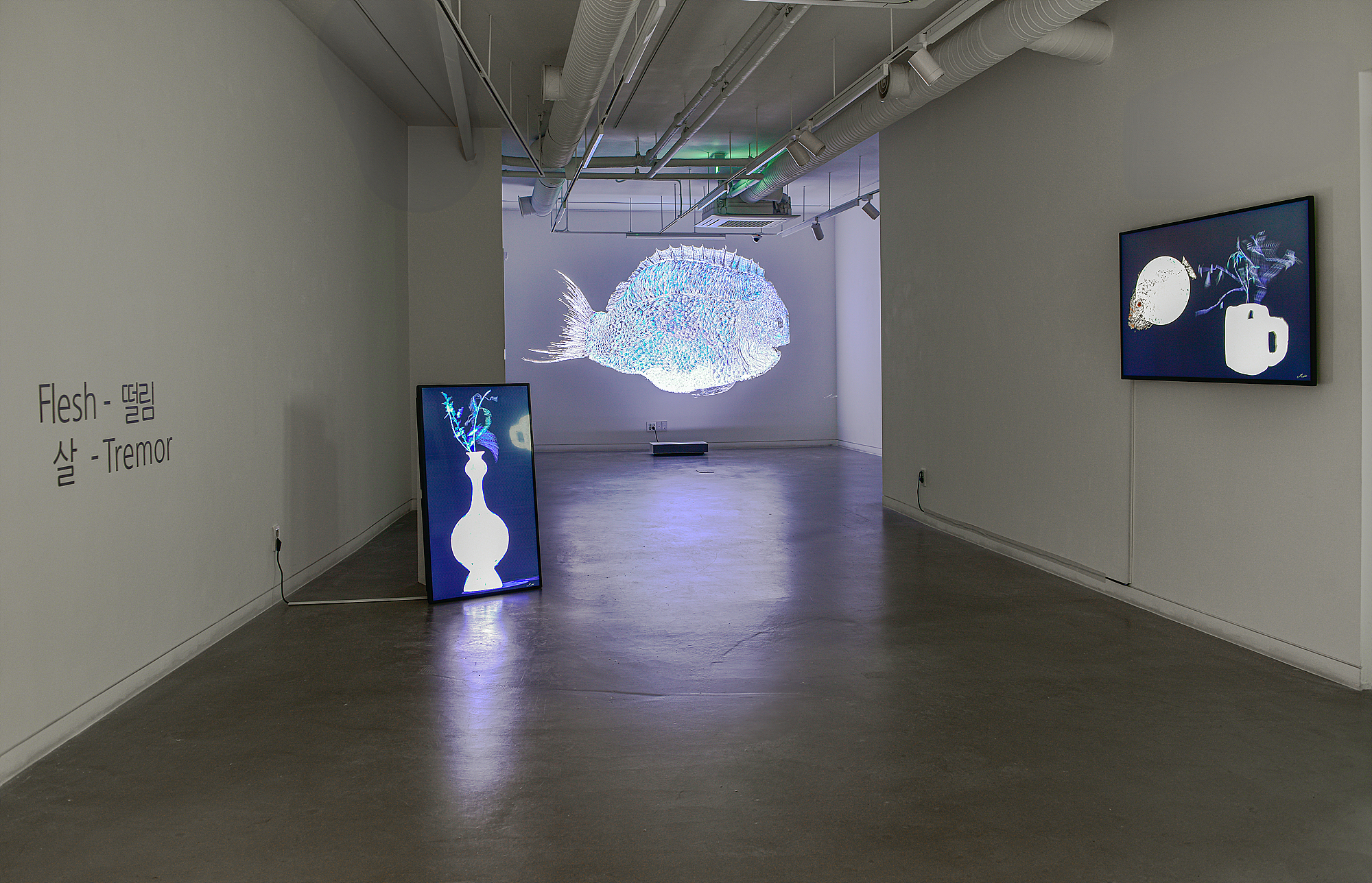 Lee Seunghoon, Installation View