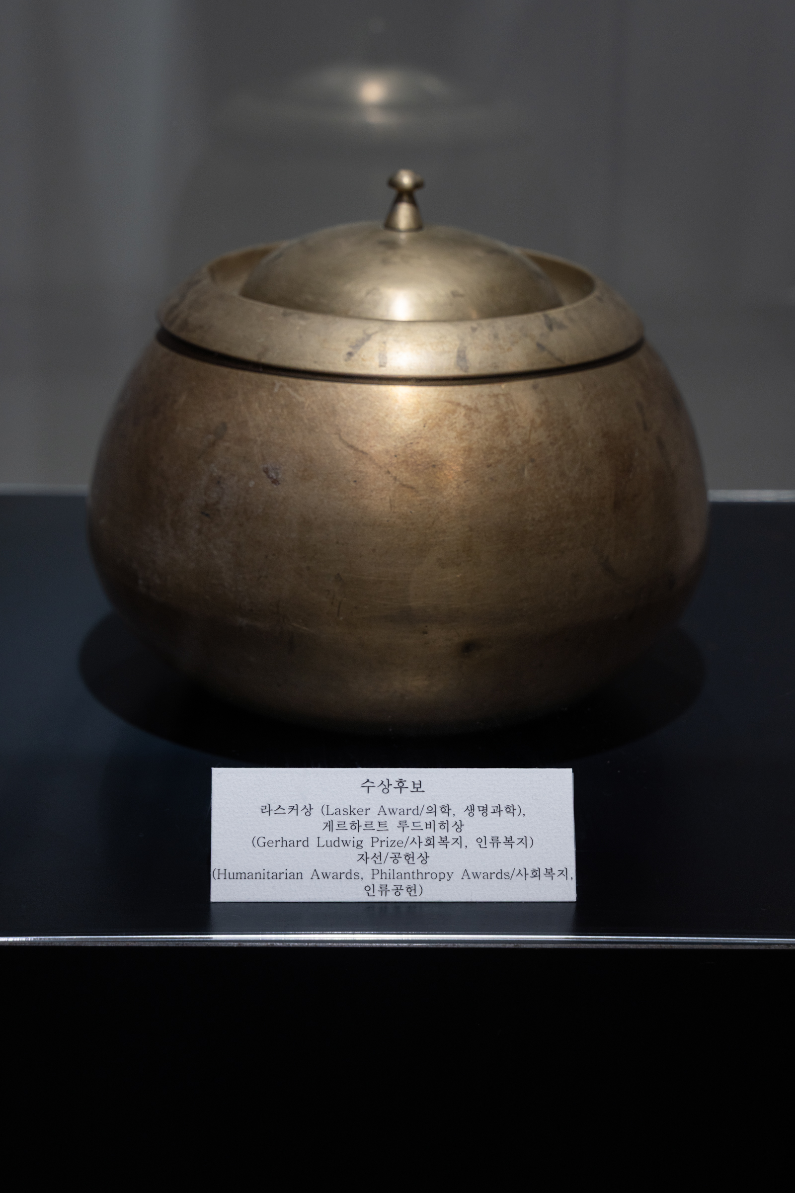 수상후보, 요강, 2025