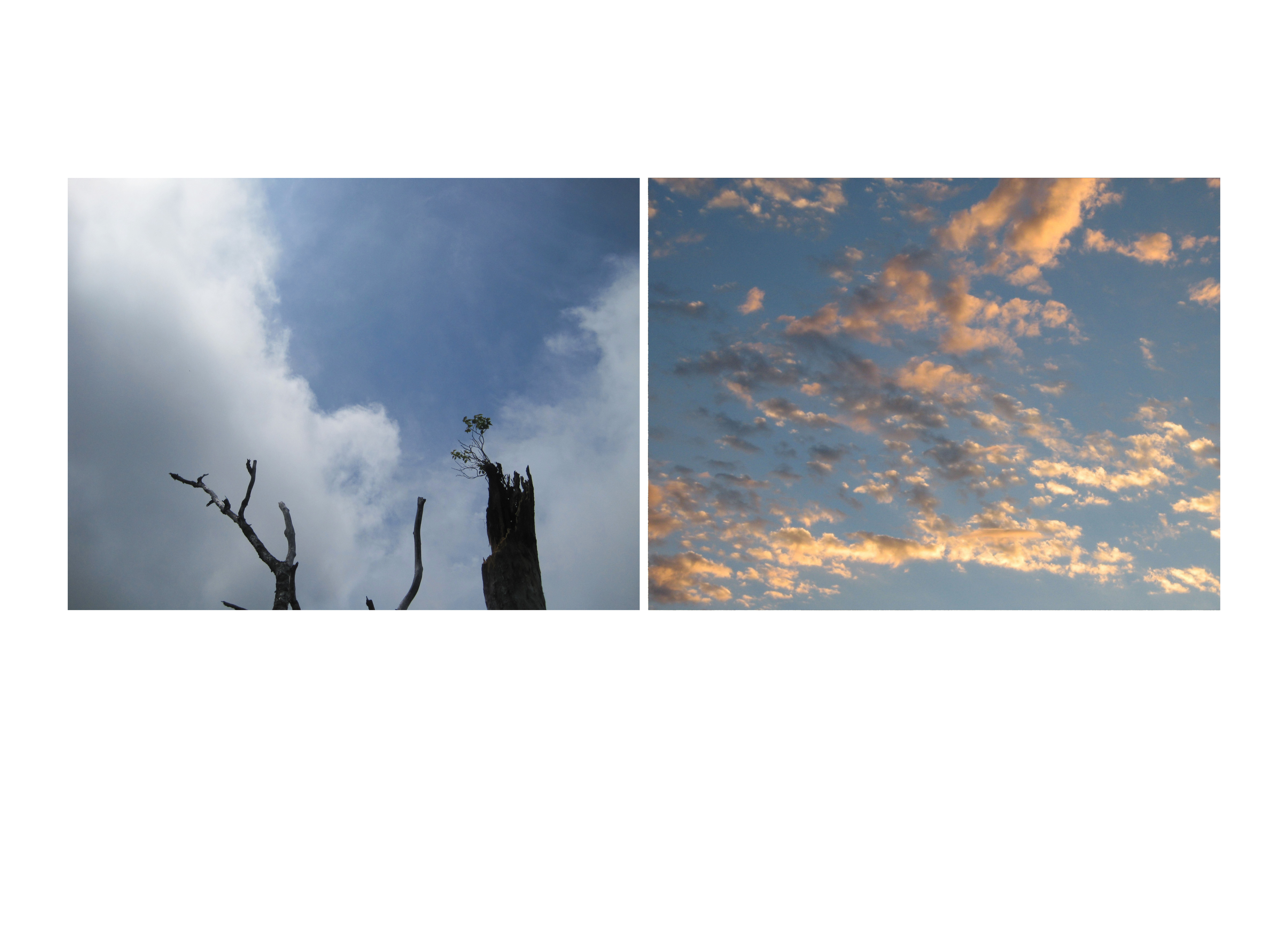 징후, c-print, 56x76cm, 2025