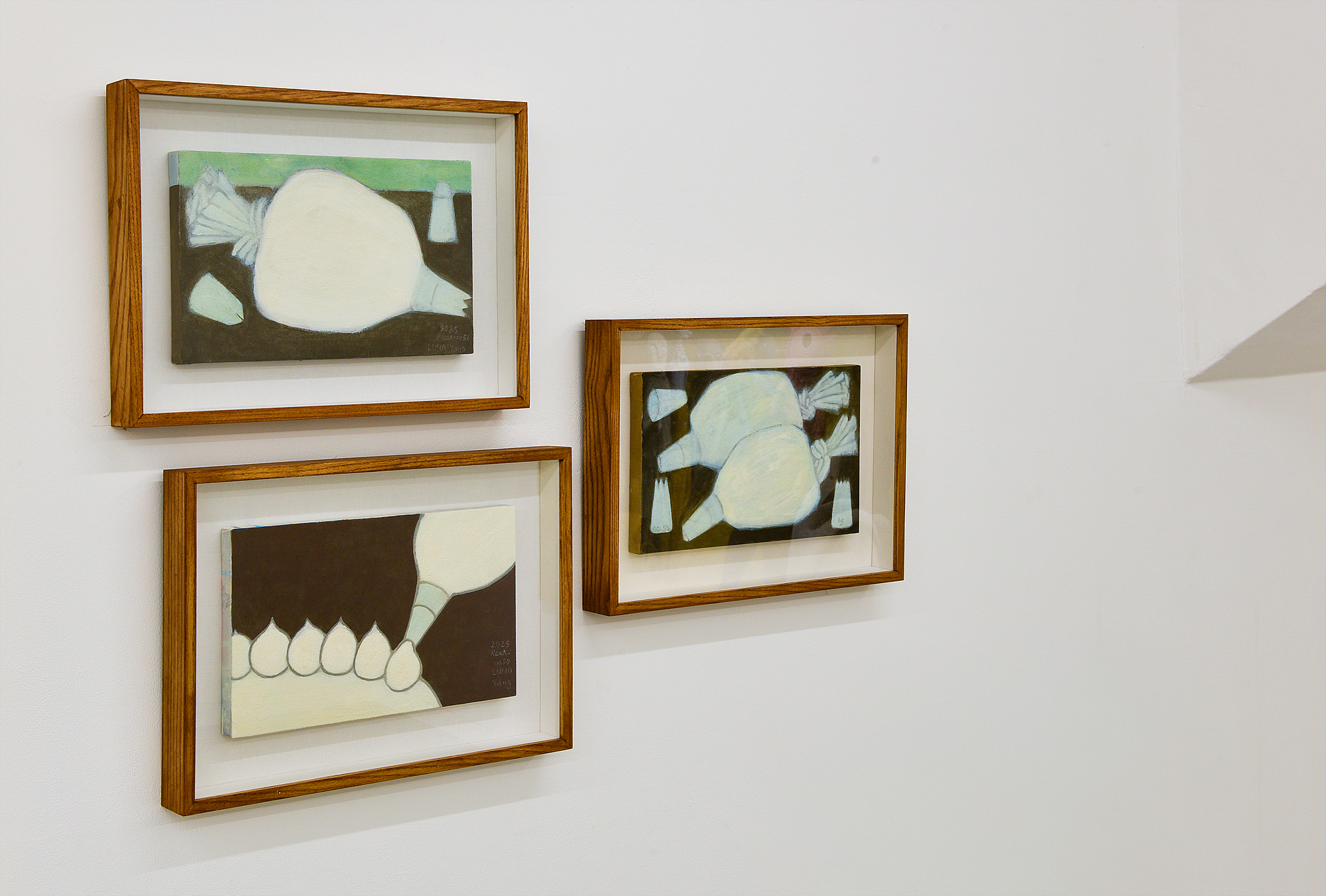 Lunayang, Riojee, Mothfly, Yoo Jihye, Kim Zonghyuk, Installation View