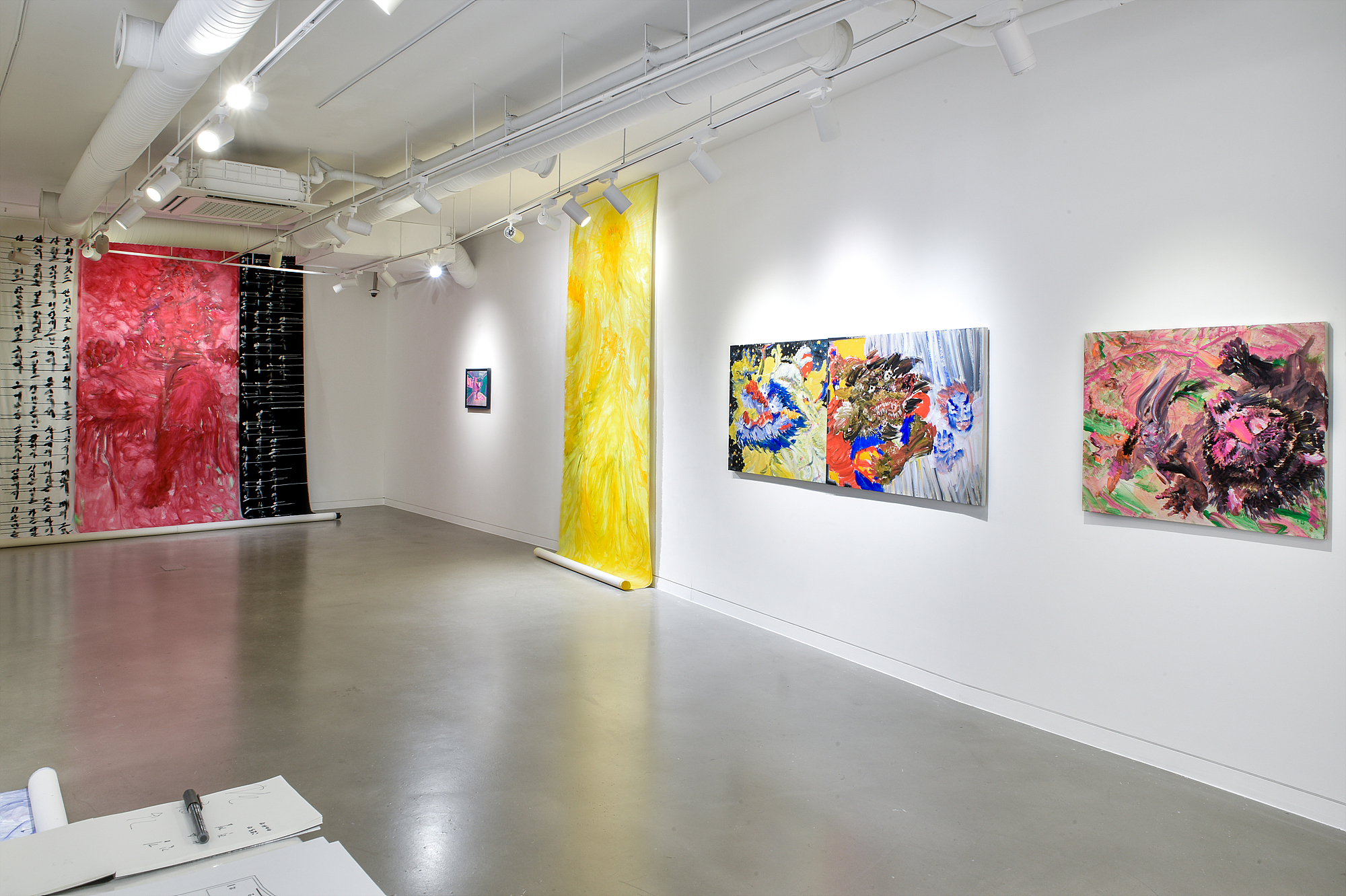 Sung Inje, Installation View