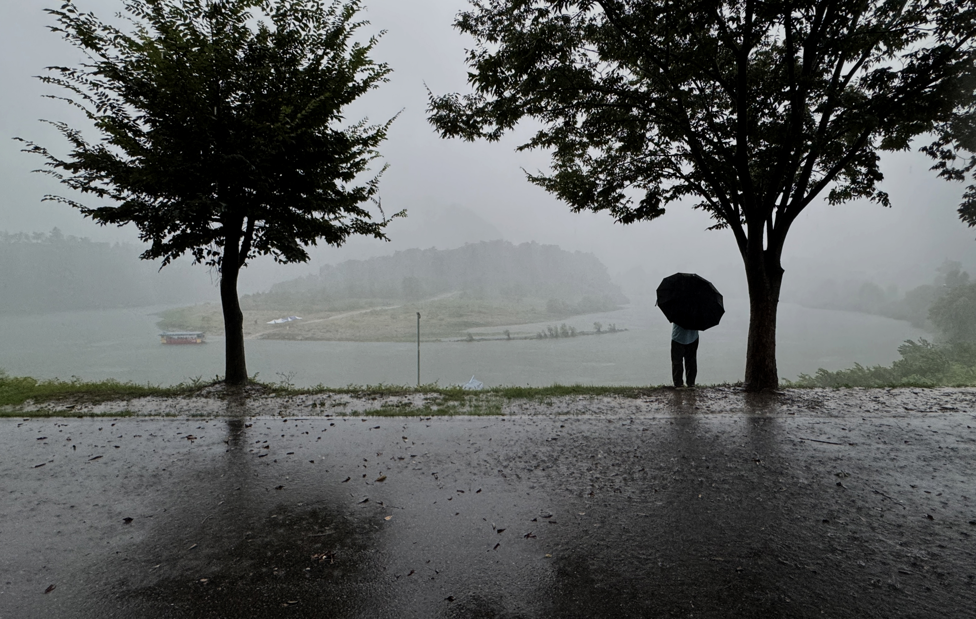 2025년 1차 영월 답사 사진