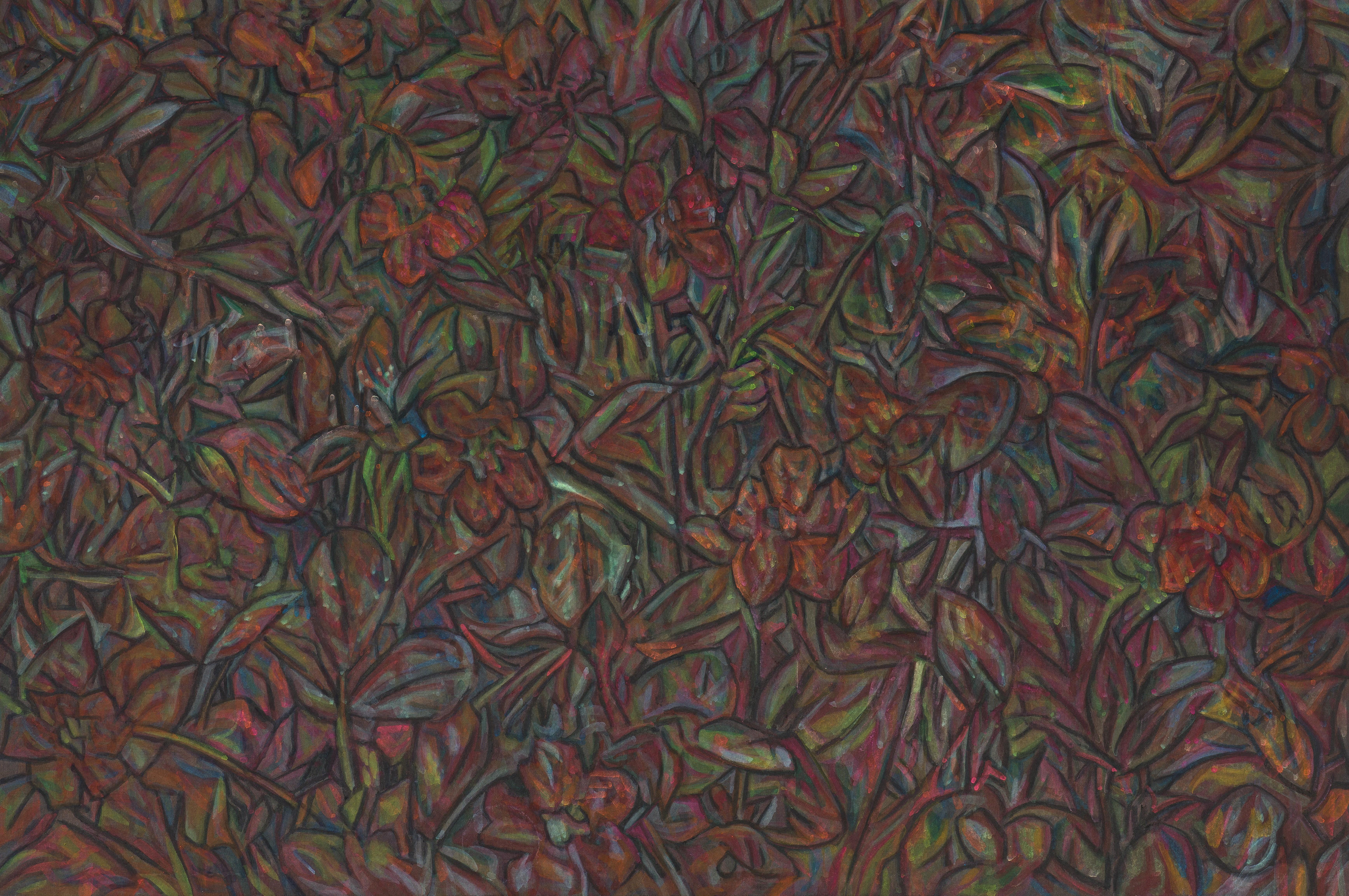 새벽의 왕-뚜껑별꽃, 장지에 먹, 주묵, 분채, 콘테, 60.6x90.9cm, 2025